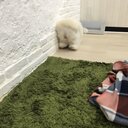 ピリカな世界