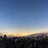 やりたいことを怖いままやってみる