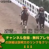 競馬無双で競馬予想！東海ステークス（GII） 【競馬調教】 カゼノコ調教動画　「競馬レース結果ハイライト」2017年≪競馬場の達人,競馬予想≫JRA-VAN対応競馬ソフト