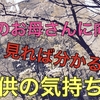 病気になって分かった母へのありがたみ🤱