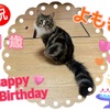 よもぎ♡１歳のお誕生日おめでとう♪