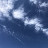 母親が退院しました　私も健康には気を付けないといけません