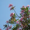 何が変わるか、その１