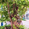 何もかもほったらかし　