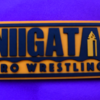 【新潟プロレス】5.24サン•ビレッジしばた大会試合結果と少しだけ昔話を・・・の巻