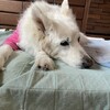 愉快な家族の日常