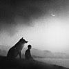 紫の夜を越えて/スピッツ -君と一緒に困難を乗り越えたい-