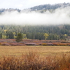 Tapestry of Fall Colors