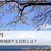 【海外留学】日本に一時帰国する目的とは？