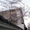 3月のイベント予定です　（写真）雲光院の寒桜