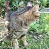 夢の中
