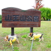 ちびっこにもオススメ☆広い芝生を駆け回れ！【山王山公園】