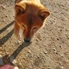 お金の問題。