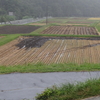 晴耕雨読と選挙