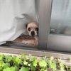 見てるだけ〜