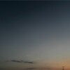 今年の夏バテは早く来た