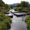 琴似発寒川のサクラマスとカニ