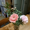 １２月の花