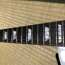 心理学科の音楽理論