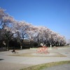 おおぞら公園(東京都西東京市)