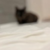 ごあいさちゅさせてよねっ。