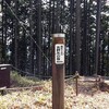明王林道・明王峠・明王イタドリコースで「矢の音」チャレンジ！