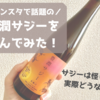 サジーは怪しい？インスタでよく見る豊潤サジージュースを飲んでみた！