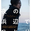 「夜の浜辺でひとり」（2017）