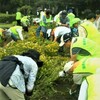 ９月１８日（水）鶴舞公園噴水塔花壇花苗植え替え