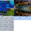 海のカレンダー2022