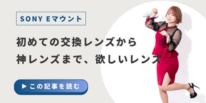 SONY Eマウントで初めての交換レンズから神レンズまでおすすめレンズ