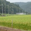 雨はまだ降るという