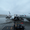AA44 ニューヨーク(JFK)→パリ(CDG) アメリカン航空 B787-8 エコノミークラス搭乗記・振替搭乗 2025/3/5