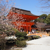 【京都・上賀茂神社】賀茂川の かみの社に 桜花｜60歳からの御朱印めぐり〔039/541〕
