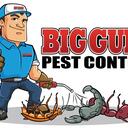 Insects Control’s
