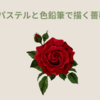 パステルと色鉛筆で描く薔薇の魅力