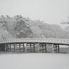 公園の雪景色（２月１１日）