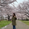 雨の親水公園の桜