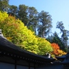 三峯神社と紅葉と青空と