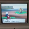 色ワンリキー・ケーシィ