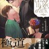 【ラノベレビュー】キス・イン・ザ・ダーク【gooneone 】