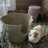 何も解決しない問題群