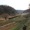 小野路城・奈良ばい谷戸（町田市）2