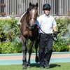 【一口馬主／ソワドリヨン】手応えあり！な初長距離戦でした♪
