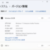 Windows 11 Insider Preview Build 25309 リリース