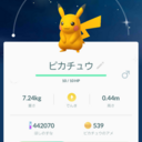 ポケモンレポート