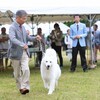 抜けない疲れ
