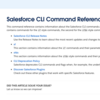SFDC：Salesforce CLI コマンドを試してみました - Part 2
