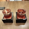 静岡旅行記6（静岡ホテル時之栖）