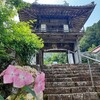 <山県市>【NAVIラストラン】紫陽花×錦鯉! 三光寺 マネの池